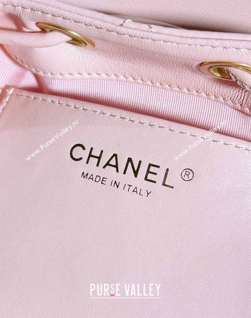 Chanel Lambskin Backpack Bag AS4866 Light Pink 2024 (yezi-240627084)