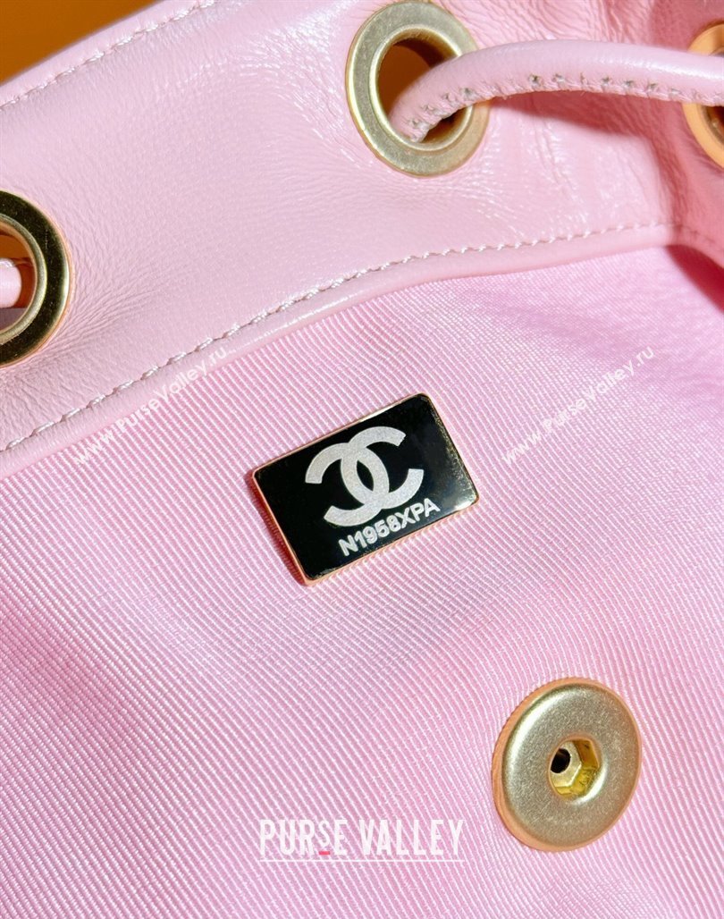 Chanel Lambskin Backpack Bag AS4866 Light Pink 2024 (yezi-240627084)