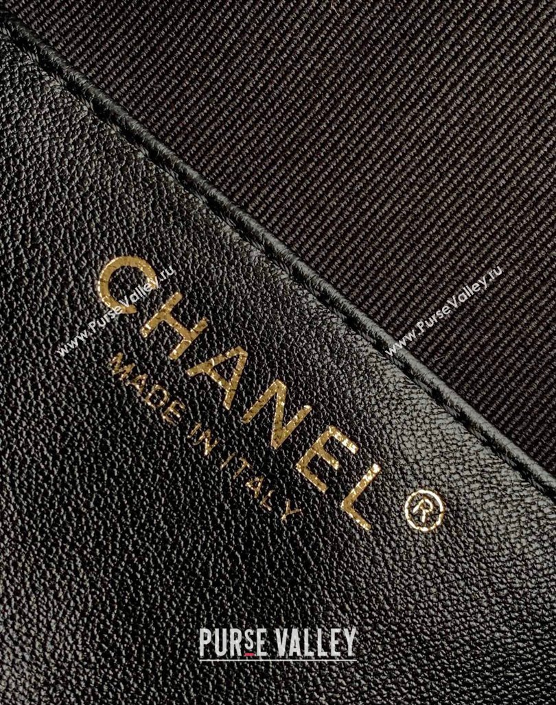 Chanel Lambskin Backpack Bag AS4866 Black 2024 (yezi-240627086)