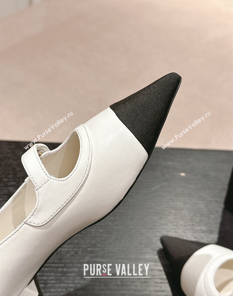 Chanel Calfskin Leather Pointed Mary Janes Ballet Flat White 2024 0701 (MD-240701126)