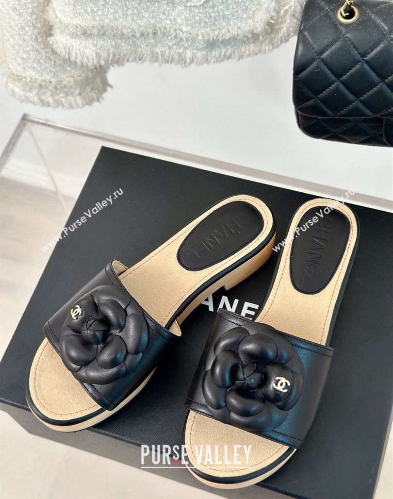 Chanel Calfskin Heel Slides Sandal 4cm with Camellia Bloom Black 2024 0701 (MD-240701138)