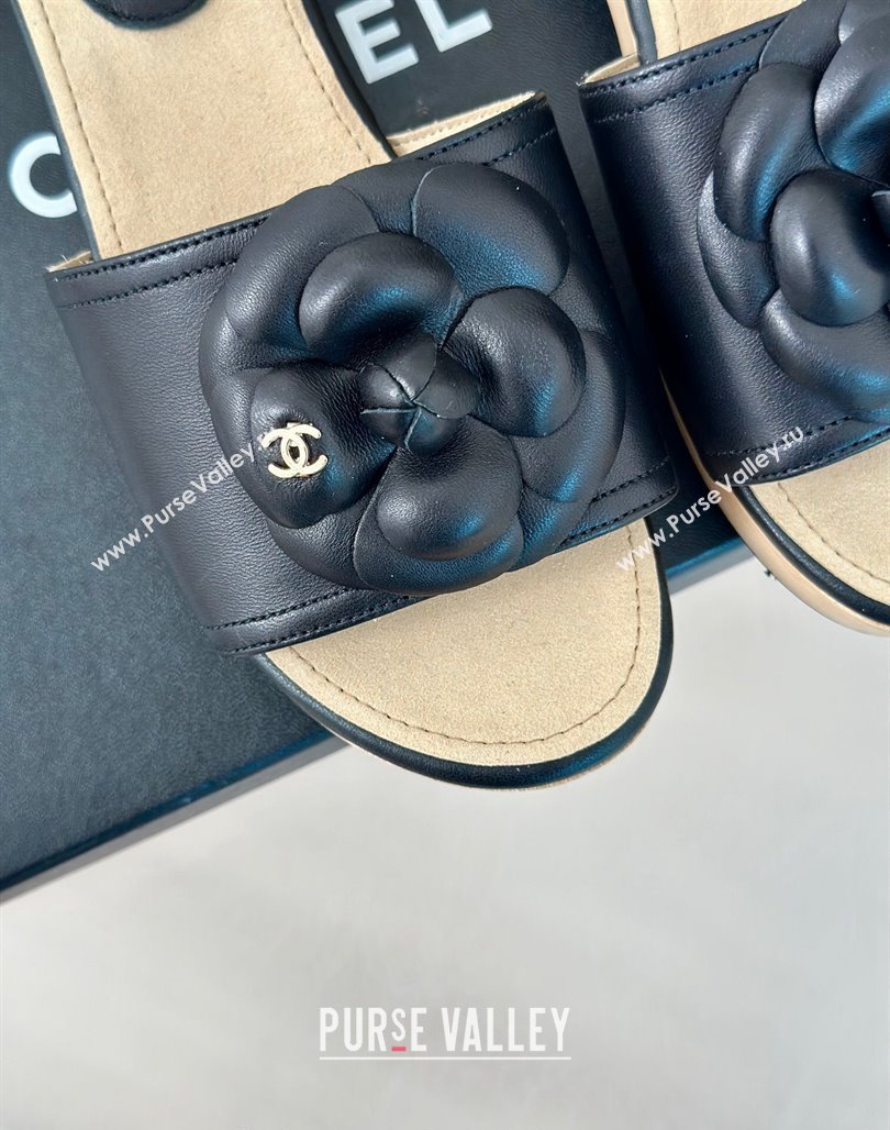 Chanel Calfskin Heel Slides Sandal 4cm with Camellia Bloom Black 2024 0701 (MD-240701138)