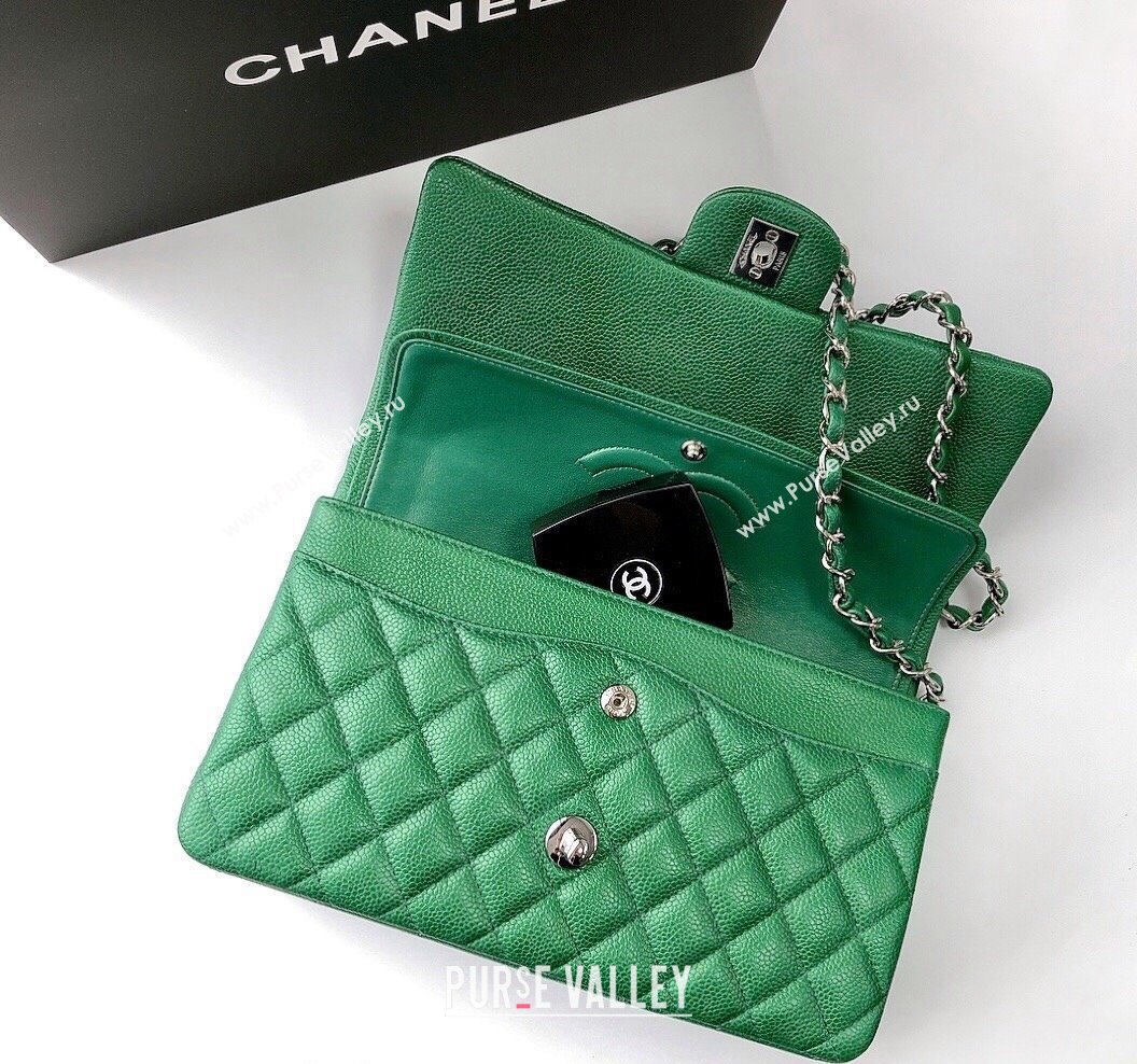 Chanel Classic Iridescent Grained Calfskin Medium Flap Bag A01112 Green 2024 (YD-240807093)