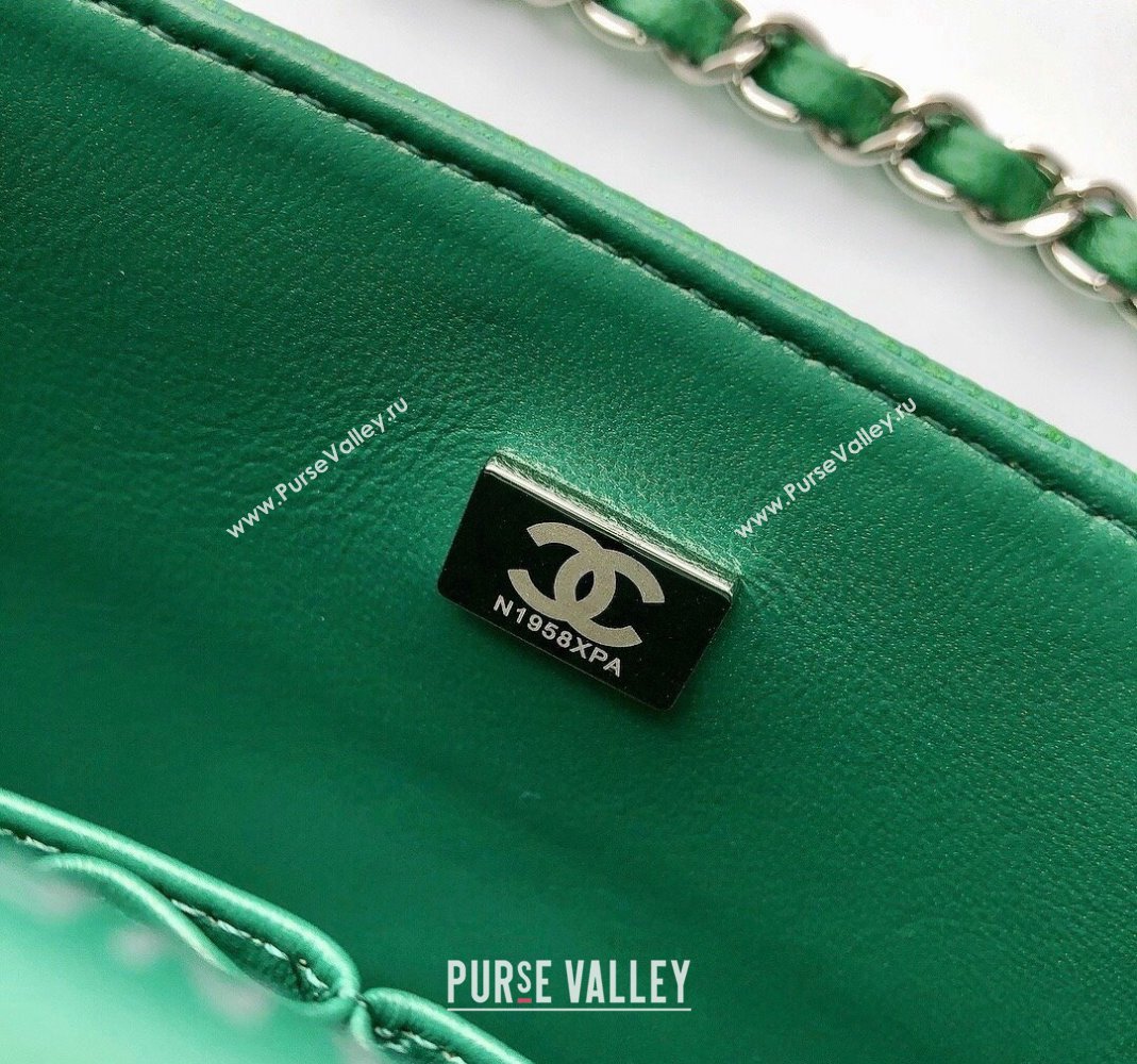 Chanel Classic Iridescent Grained Calfskin Medium Flap Bag A01112 Green 2024 (YD-240807093)