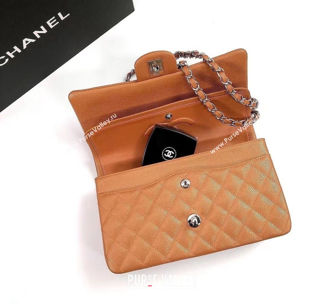 Chanel Classic Iridescent Grained Calfskin Medium Flap Bag A01112 Brown/Silver 2024 (YD-240807099)