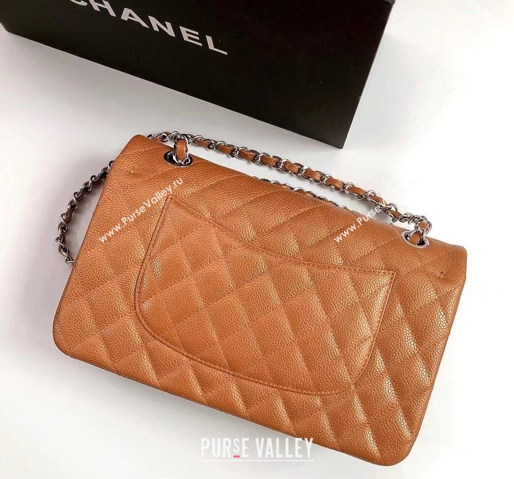 Chanel Classic Iridescent Grained Calfskin Medium Flap Bag A01112 Brown/Silver 2024 (YD-240807099)