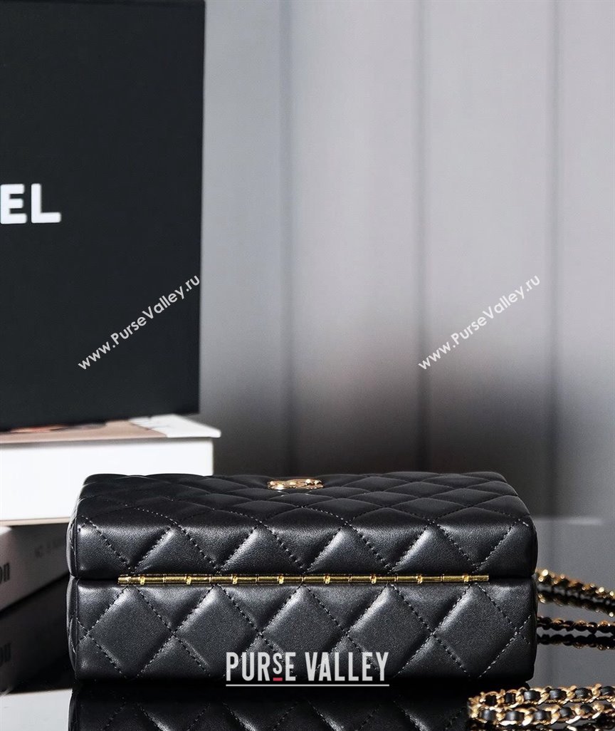 Chanel Lambskin Vanity Case Bag Black 2025A (yezi-240808035)