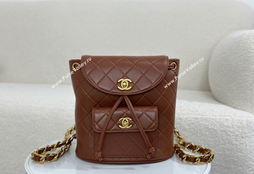 Chanel Quilted Calfskin Large Backpack bag Brown 2024 A088792 (SM-240829060)