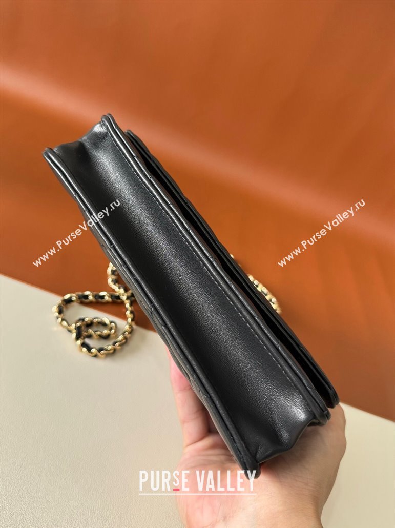 Chanel Lambskin Classic Wallet on Chain WOC Black/Gold 2024 0829 (YD-240829093)