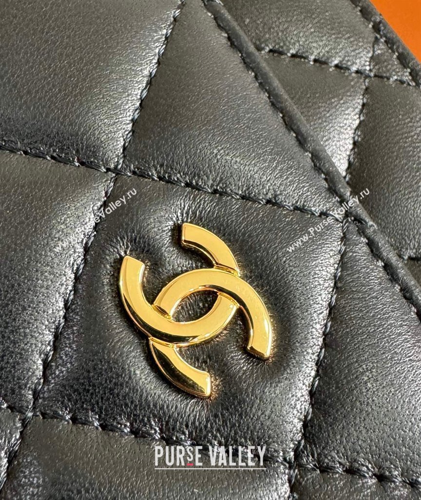 Chanel Lambskin Classic Wallet on Chain WOC Black/Gold 2024 0829 (YD-240829093)