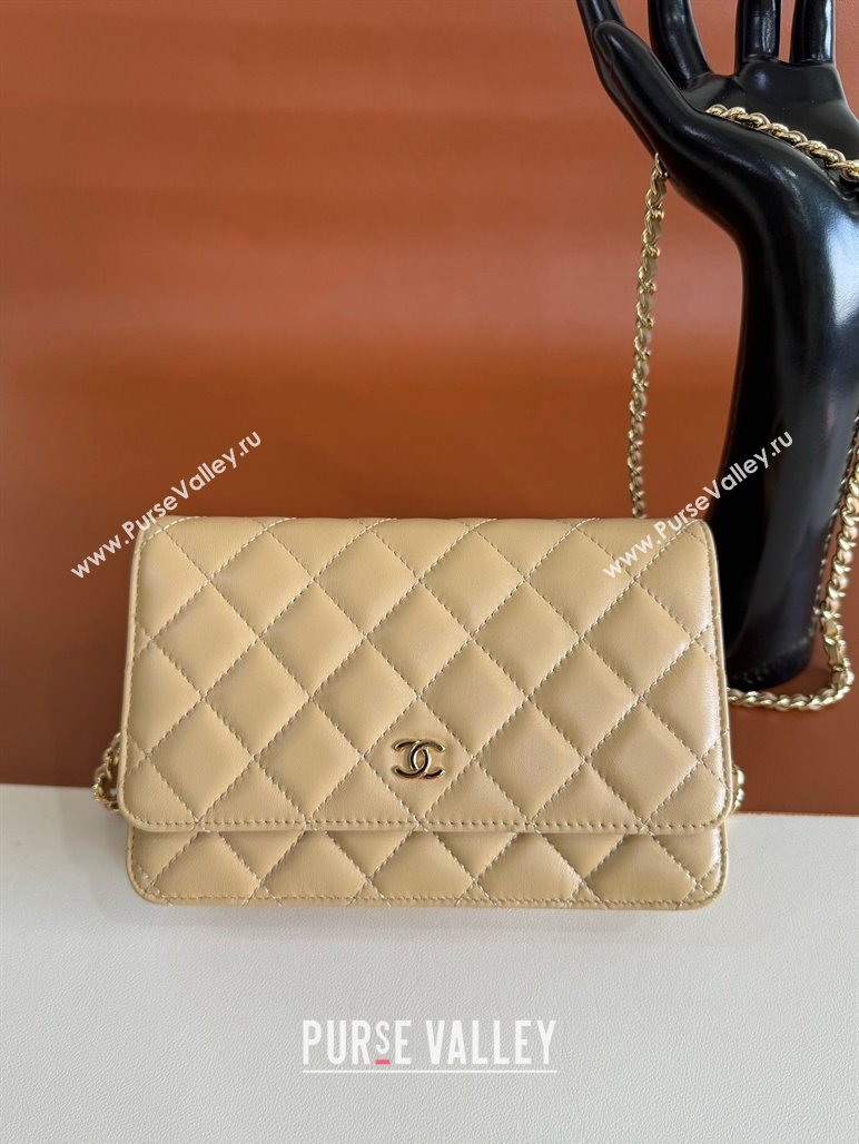 Chanel Lambskin Classic Wallet on Chain WOC Beige 2024 0829 (YD-240829097)