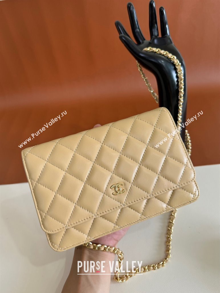 Chanel Lambskin Classic Wallet on Chain WOC Beige 2024 0829 (YD-240829097)