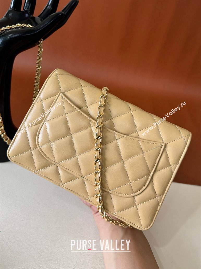 Chanel Lambskin Classic Wallet on Chain WOC Beige 2024 0829 (YD-240829097)