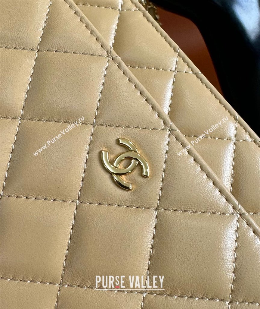 Chanel Lambskin Classic Wallet on Chain WOC Beige 2024 0829 (YD-240829097)