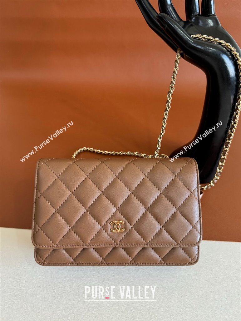 Chanel Lambskin Classic Wallet on Chain WOC Brown 2024 0829 (YD-240829098)