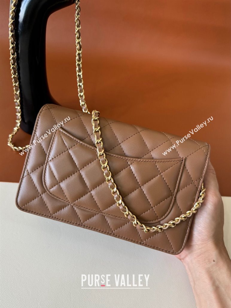 Chanel Lambskin Classic Wallet on Chain WOC Brown 2024 0829 (YD-240829098)