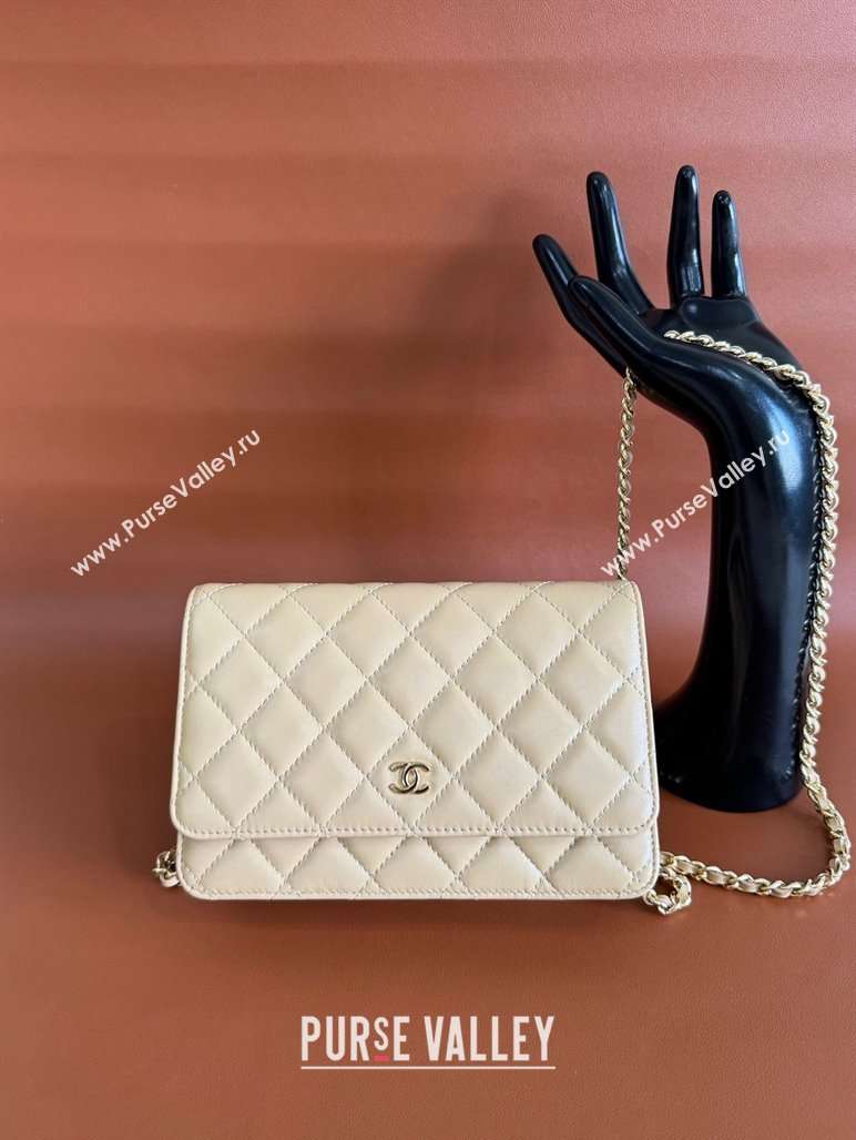 Chanel Lambskin Classic Wallet on Chain WOC Light Beige 2024 0829 (YD-240829101)