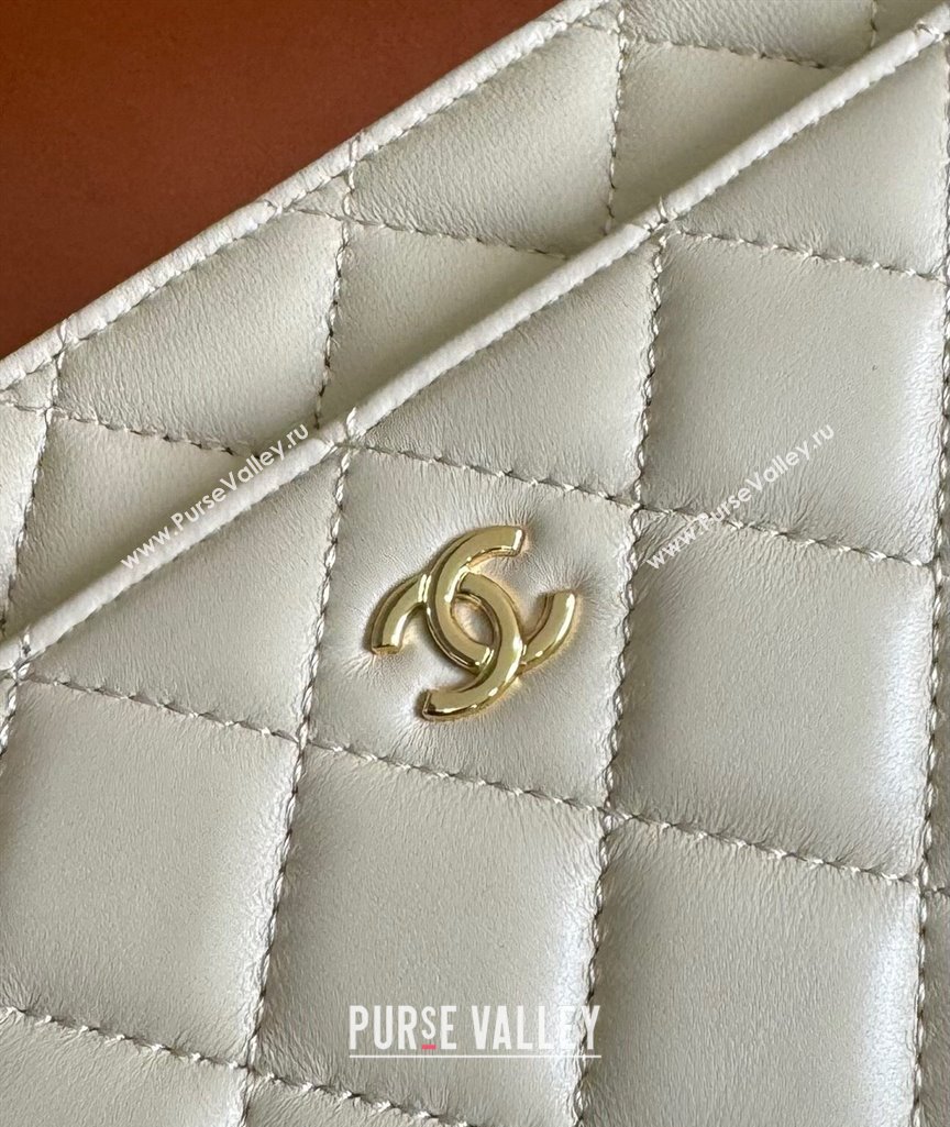 Chanel Lambskin Classic Wallet on Chain WOC Light Beige 2024 0829 (YD-240829101)