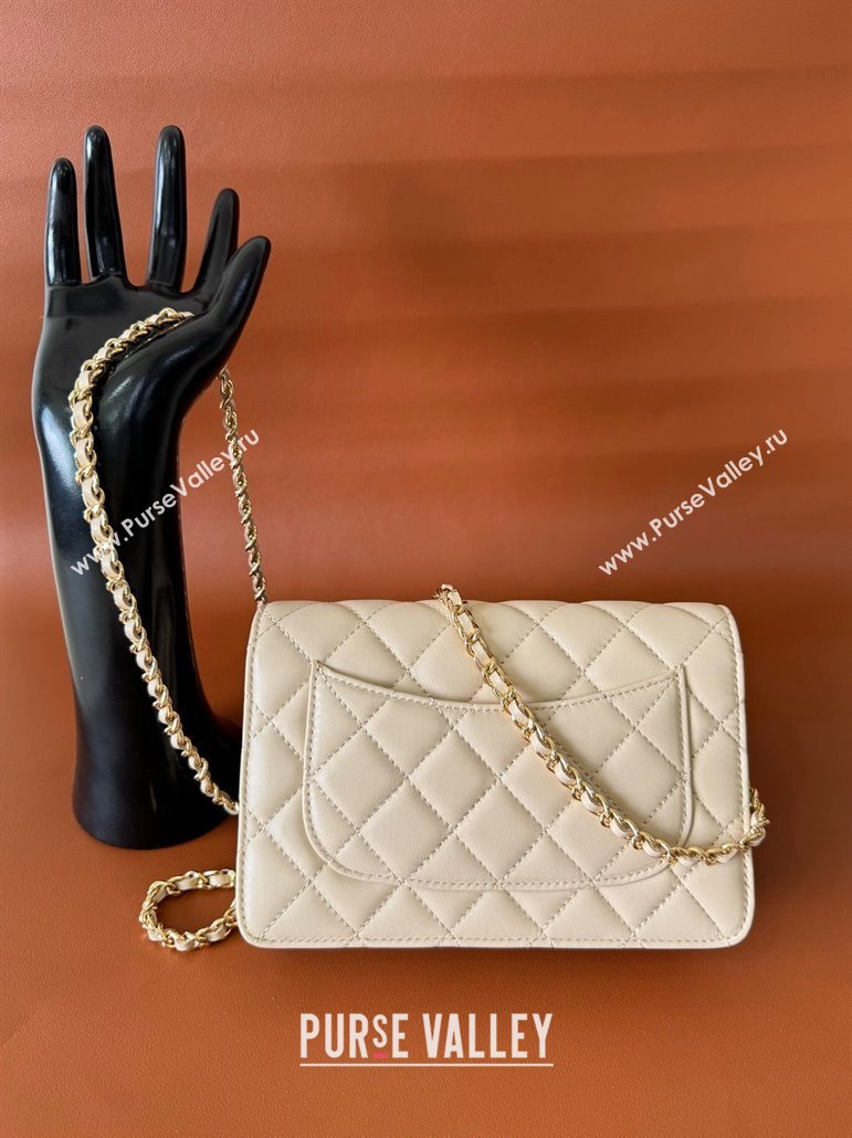 Chanel Lambskin Classic Wallet on Chain WOC Light Beige 2024 0829 (YD-240829101)