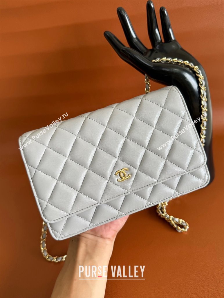 Chanel Lambskin Classic Wallet on Chain WOC Light Grey 2024 0829 (YD-240829102)