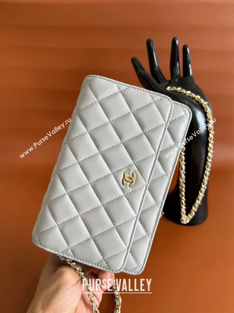 Chanel Lambskin Classic Wallet on Chain WOC Light Grey 2024 0829 (YD-240829102)