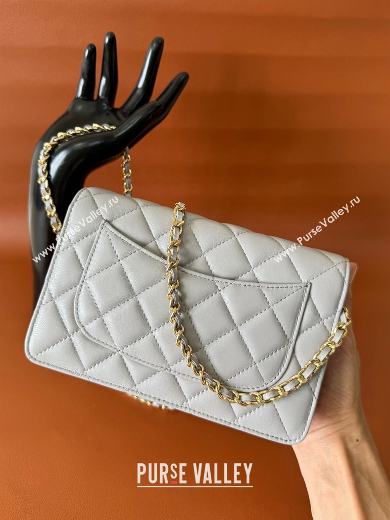 Chanel Lambskin Classic Wallet on Chain WOC Light Grey 2024 0829 (YD-240829102)
