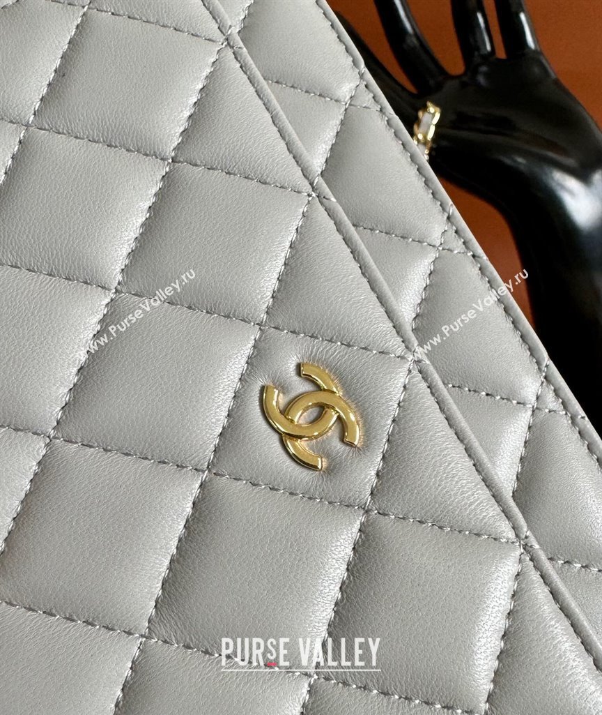 Chanel Lambskin Classic Wallet on Chain WOC Light Grey 2024 0829 (YD-240829102)