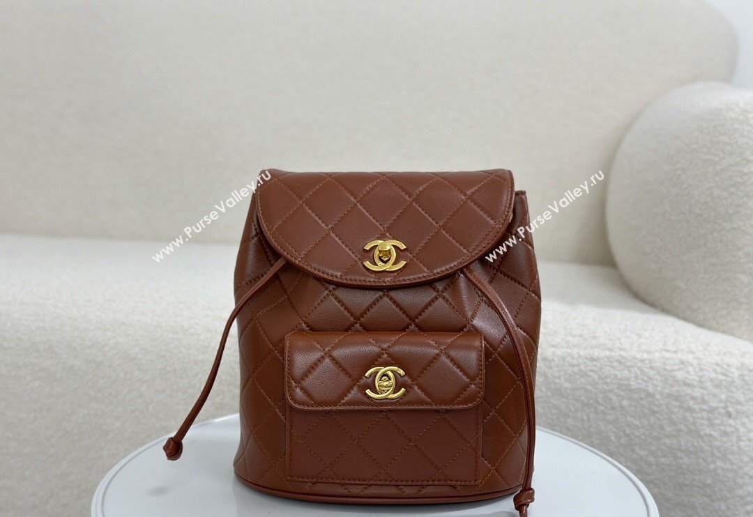 Chanel Quilted Calfskin Large Backpack bag Brown 2024 A088792 (SM-240829060)