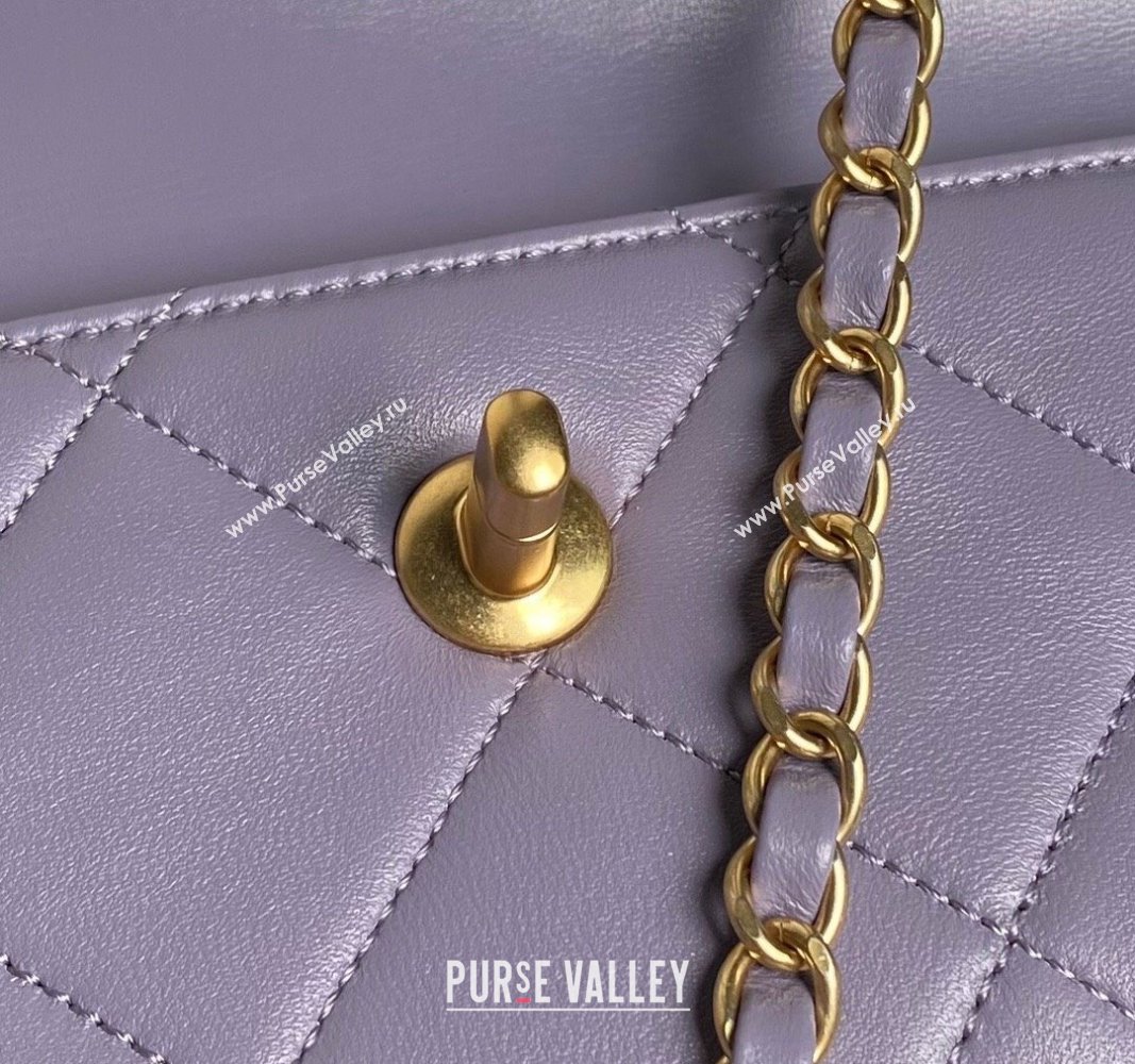 Chanel Lambskin Clutch with Chain Shoulder bag AS5038 Purple 2024 (yezi-240830038)