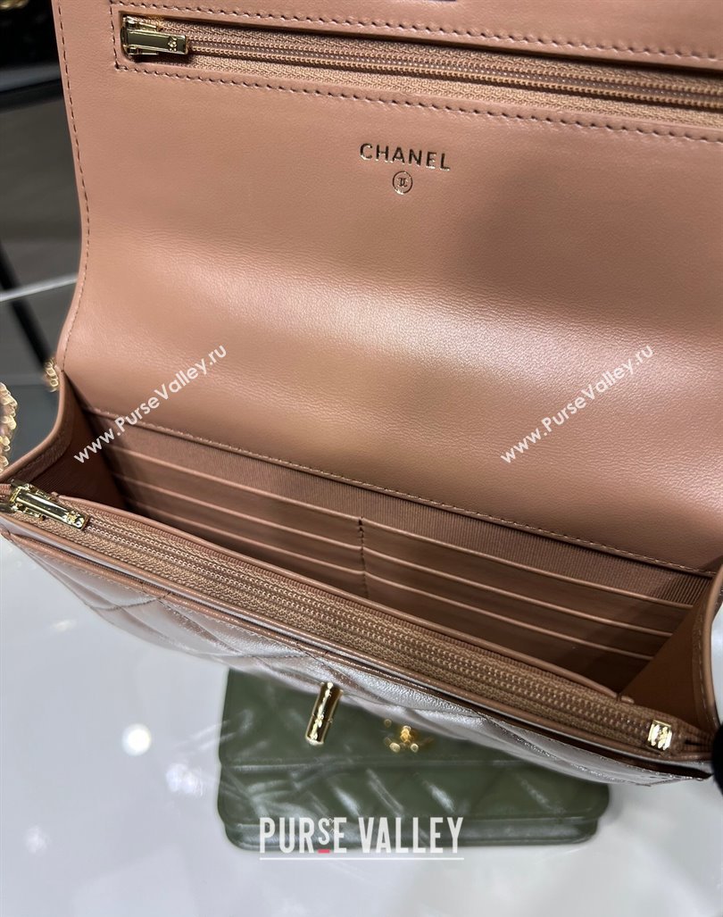 Chanel Lambskin Wallet on Chain WOC with Top Handle AP4166 Dark Beige 2024 (yezi-240830009)