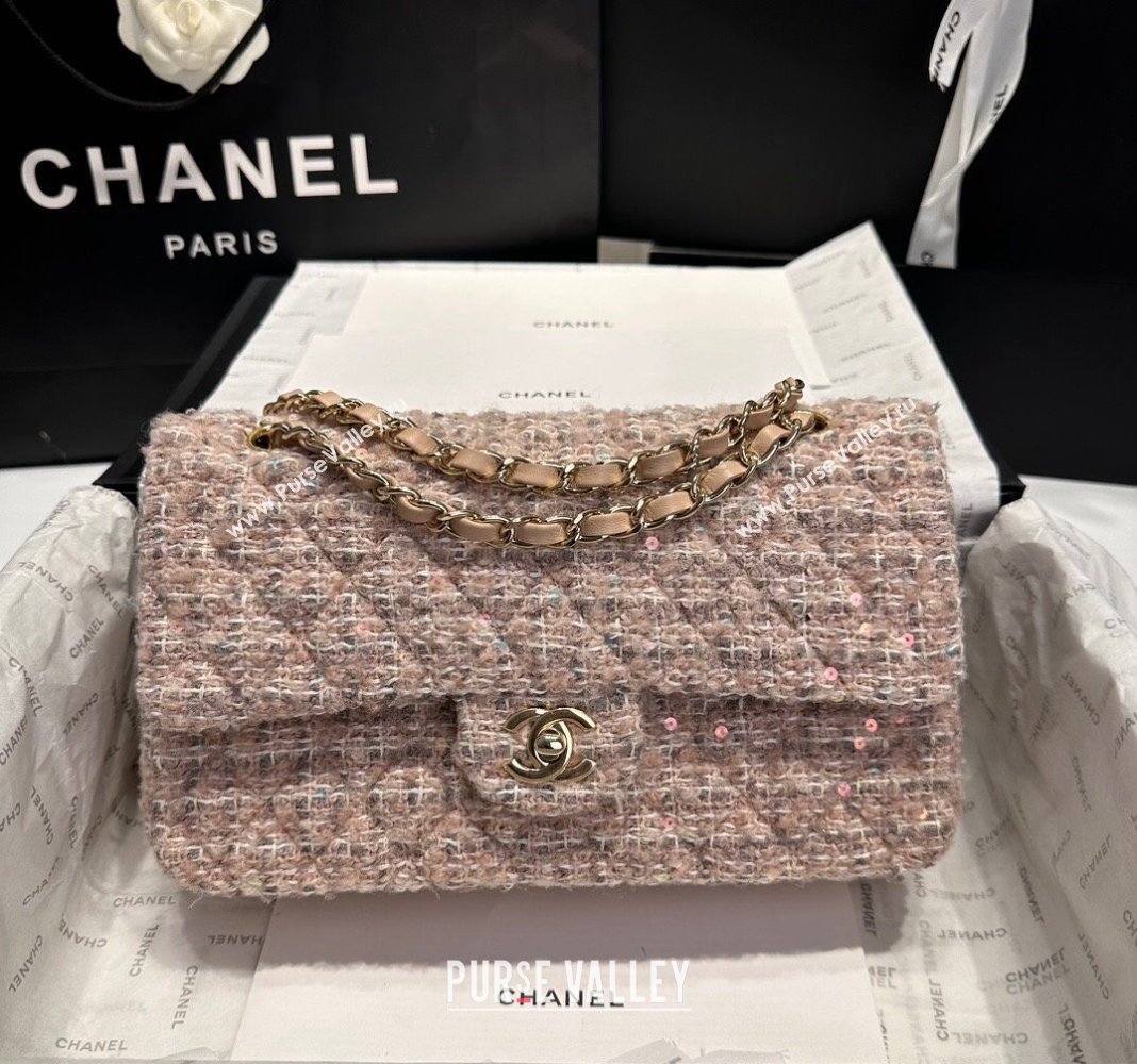 Chanel Classic Tweed Sequins Medium Flap Bag A01112 Nude Pink 2024 (yezi-240926085)