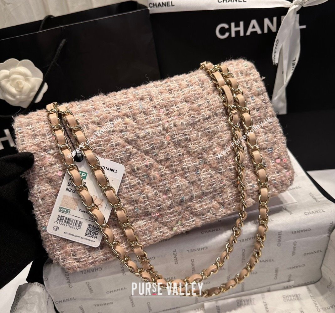 Chanel Classic Tweed Sequins Medium Flap Bag A01112 Nude Pink 2024 (yezi-240926085)