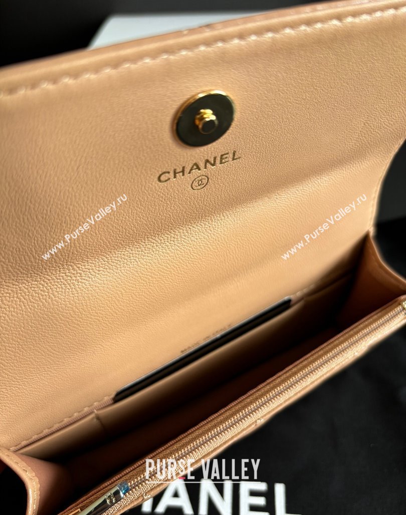 Chanel Lambskin Clutch with Chain and Top Handle Dark Beige 2024 A96099 (yezi-240927019)