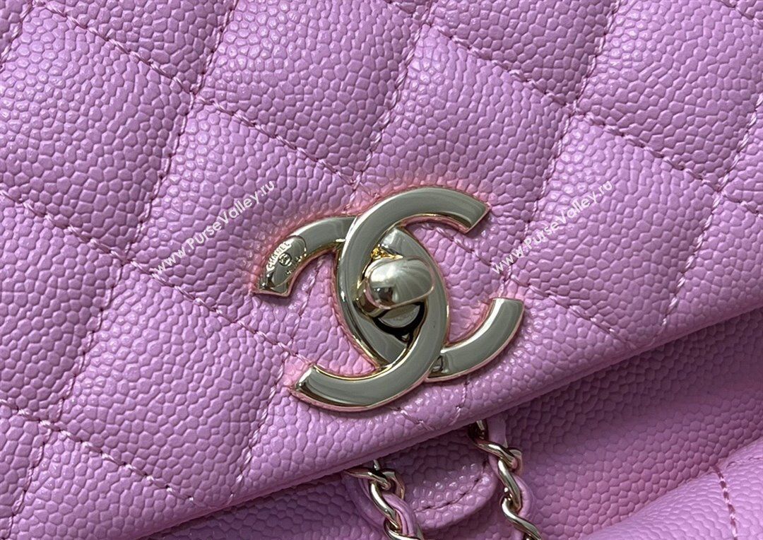 Chanel Grained Calfskin Backpack Bag AS3860 Purple Pink 2024 (yezi-240926064)