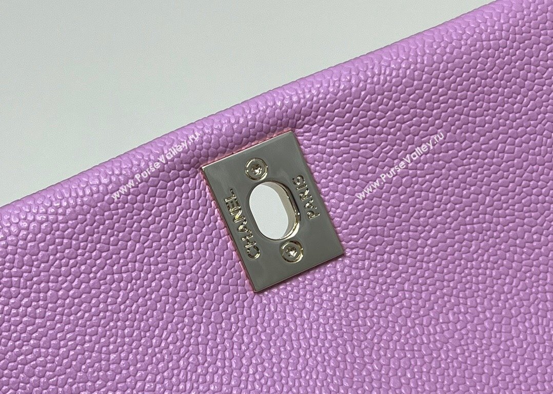 Chanel Grained Calfskin Backpack Bag AS3860 Purple Pink 2024 (yezi-240926064)