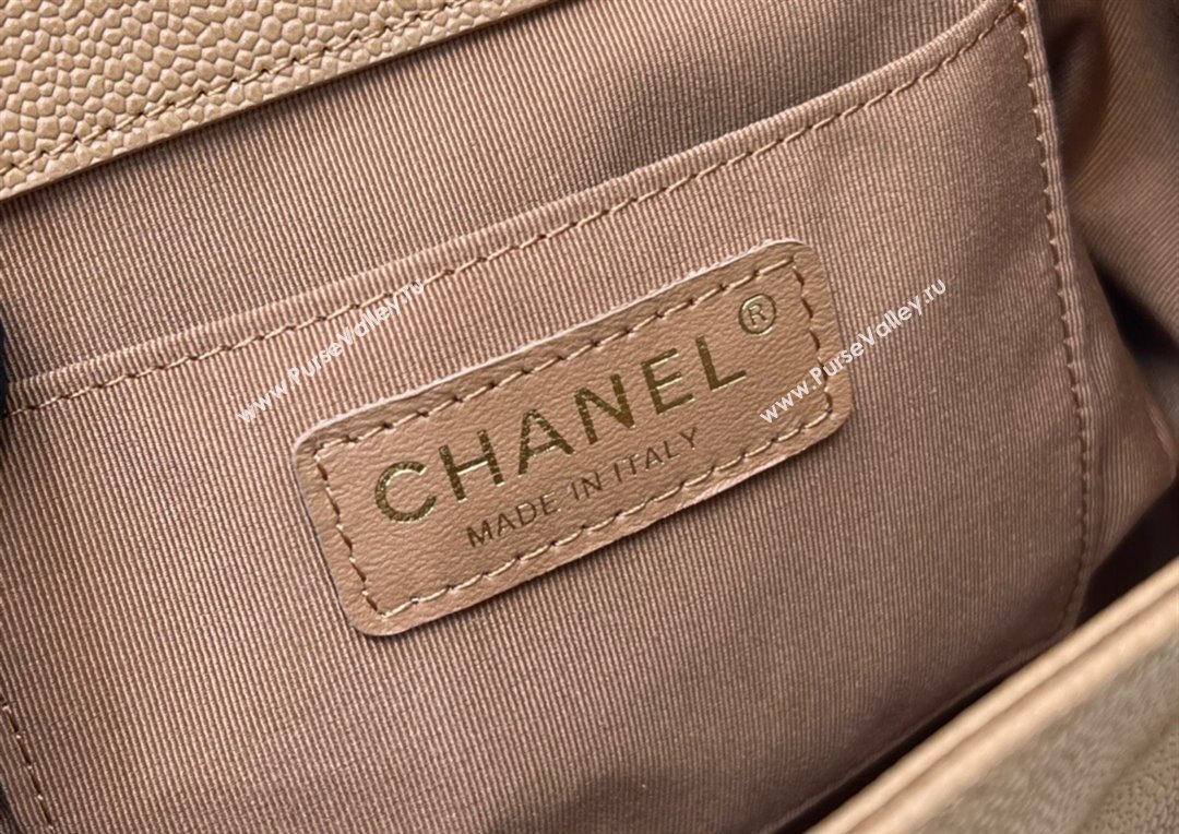 Chanel Grained Calfskin Backpack Bag AS3860 Light Brown 2024 (yezi-240926065)