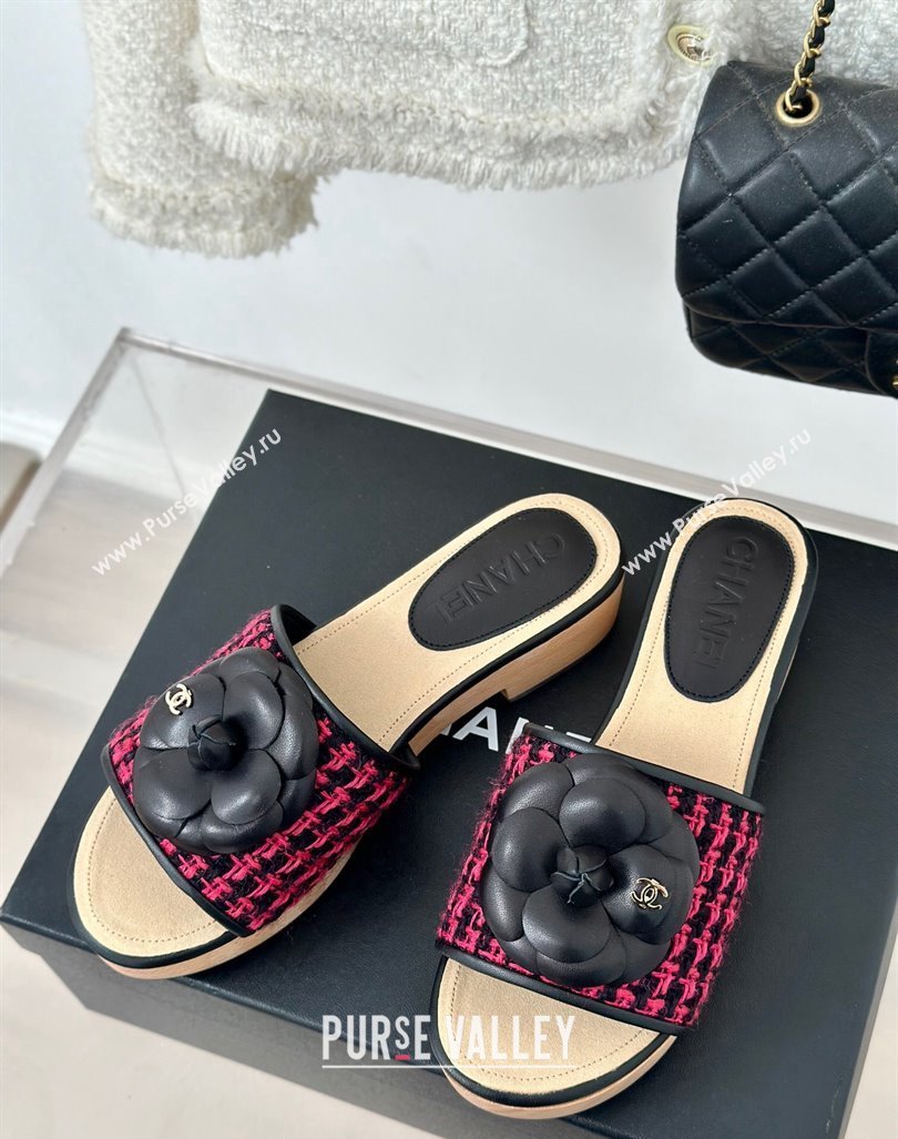 Chanel Tweed Wood Slides Sandal 4cm with Camellia Bloom Dark Pink/Black 2024 CH101717 (KL-241017104)