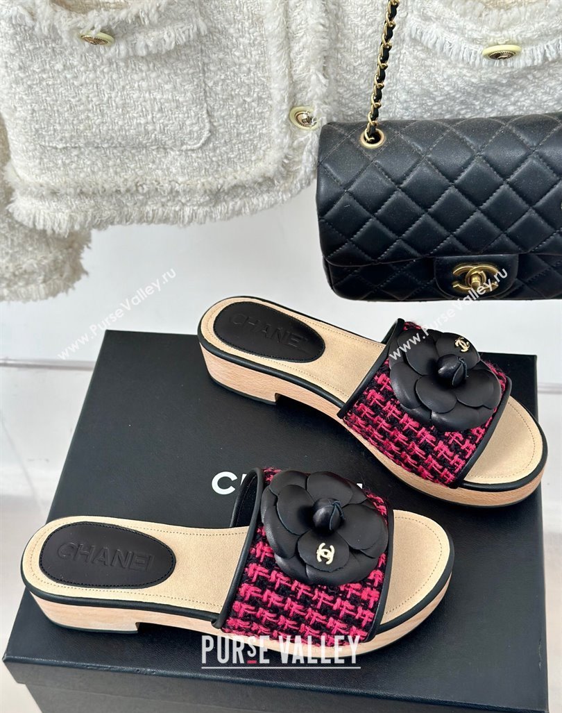 Chanel Tweed Wood Slides Sandal 4cm with Camellia Bloom Dark Pink/Black 2024 CH101717 (KL-241017104)