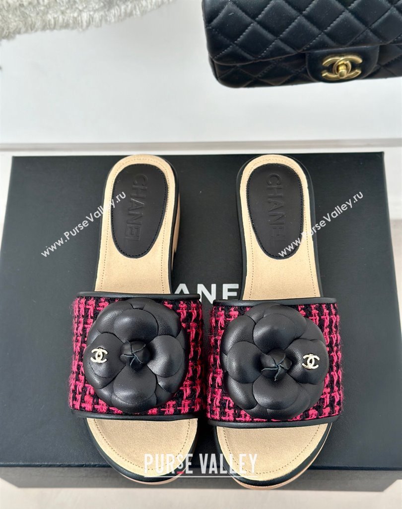 Chanel Tweed Wood Slides Sandal 4cm with Camellia Bloom Dark Pink/Black 2024 CH101717 (KL-241017104)