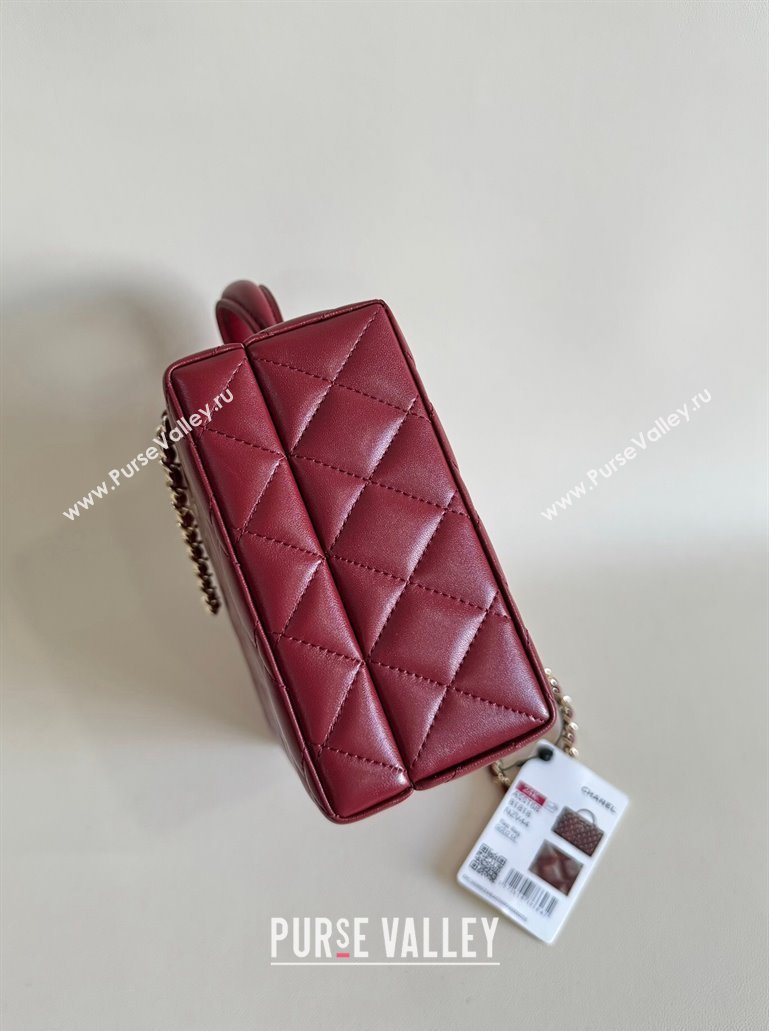 Chanel Quilted Lambskin Box Bag Dark Burgundy 2024 AS5168 TOP (YD-241106020)