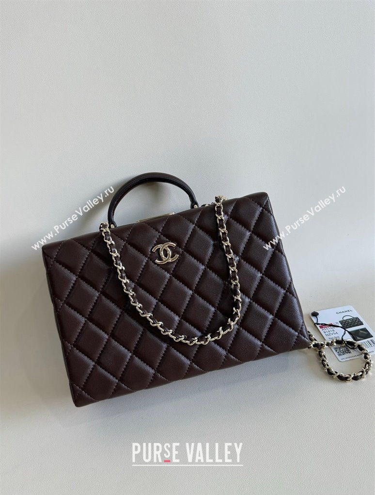 Chanel Quilted Lambskin Box Bag Dark Brown 2024 AS5168 TOP (YD-241106022)