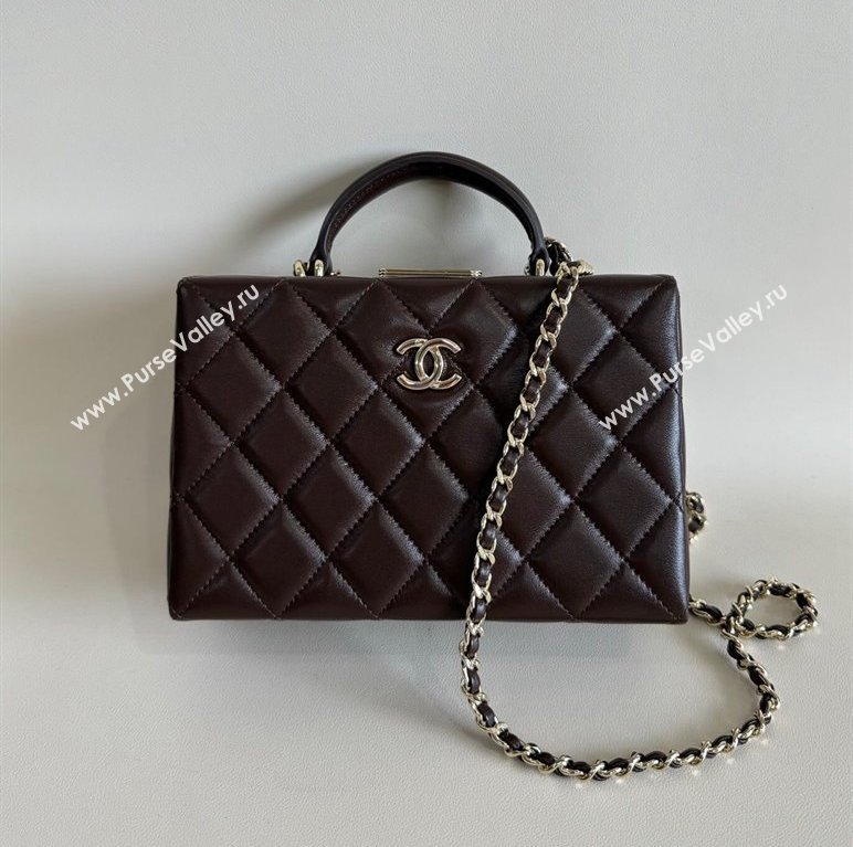 Chanel Quilted Lambskin Small Box Bag Dark Brown 2024 AS5167 TOP (YD-241106026)