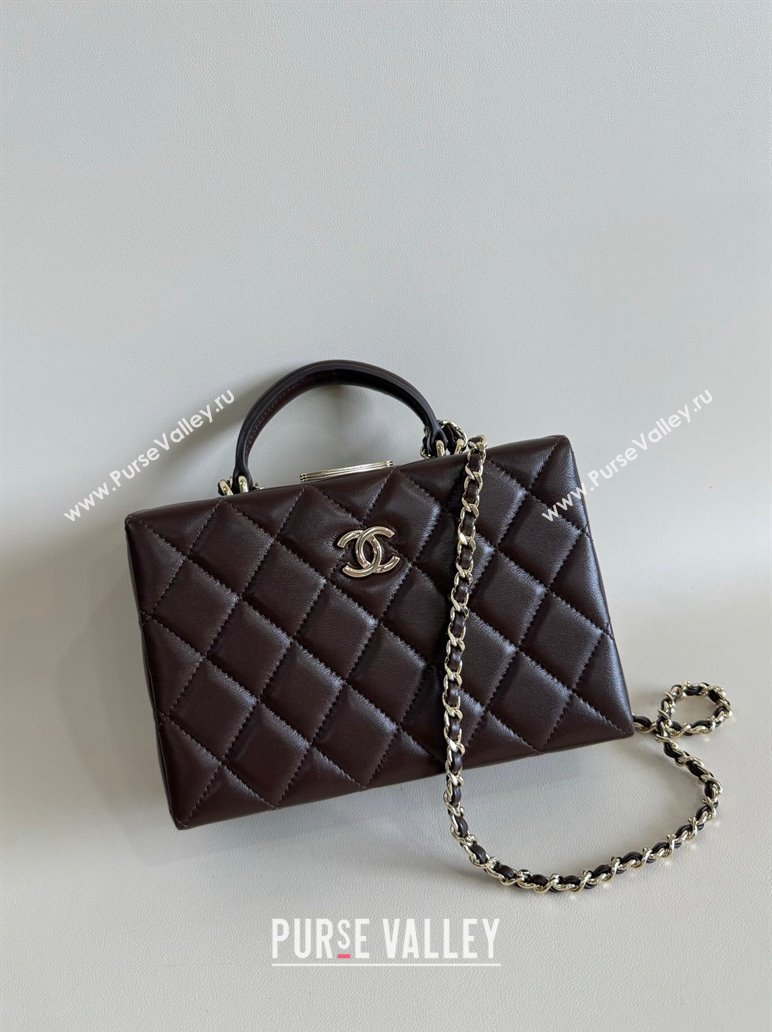 Chanel Quilted Lambskin Small Box Bag Dark Brown 2024 AS5167 TOP (YD-241106026)