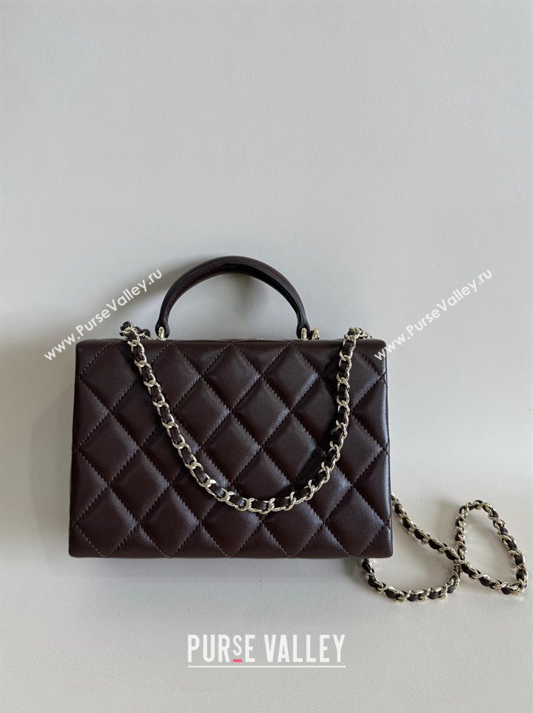 Chanel Quilted Lambskin Small Box Bag Dark Brown 2024 AS5167 TOP (YD-241106026)