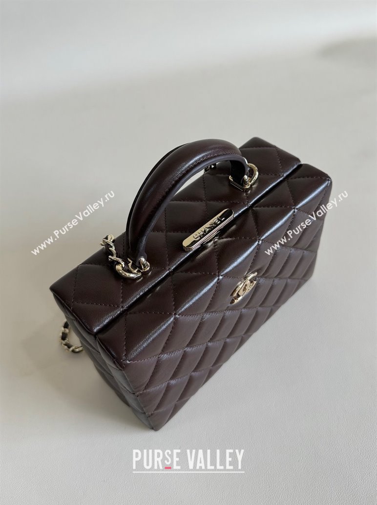 Chanel Quilted Lambskin Small Box Bag Dark Brown 2024 AS5167 TOP (YD-241106026)