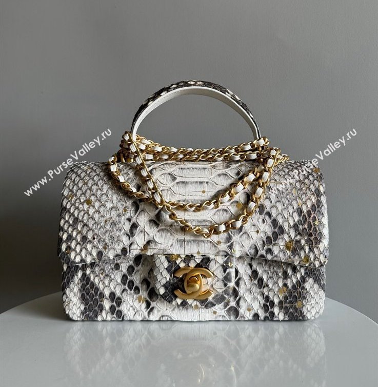 Chanel Mini Classic Flap Bag with Top Handle in Pythonskin Leather AS2431 Grey2 2024 (YD-241106038)