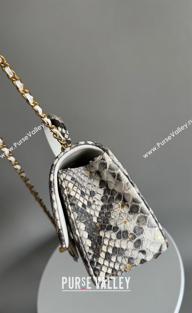 Chanel Mini Classic Flap Bag with Top Handle in Pythonskin Leather AS2431 Grey2 2024 (YD-241106038)