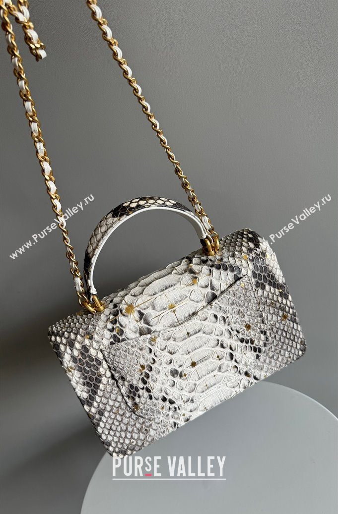 Chanel Mini Classic Flap Bag with Top Handle in Pythonskin Leather AS2431 Grey2 2024 (YD-241106038)