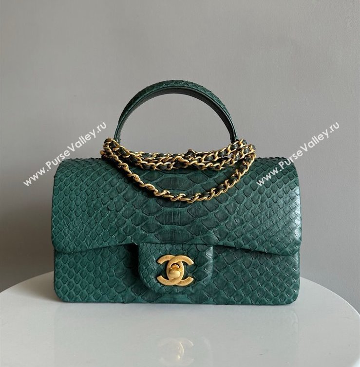 Chanel Mini Classic Flap Bag with Top Handle in Pythonskin Leather AS2431 Dark Green 2024 (YD-241106040)