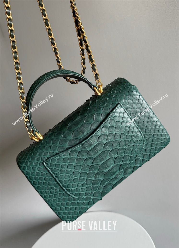 Chanel Mini Classic Flap Bag with Top Handle in Pythonskin Leather AS2431 Dark Green 2024 (YD-241106040)